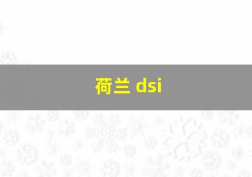 荷兰 dsi